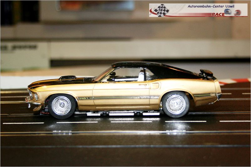 Mustang Gold (1)